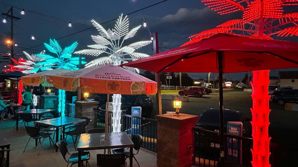 Patio at night with lit palm trees and string lights